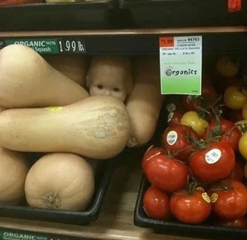 Baby Hiding Among Squash