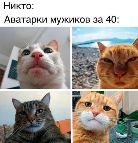 Аватарки мужиков за 40