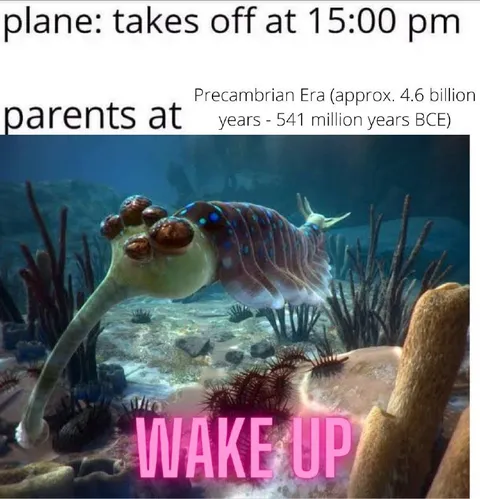 Parents Wake You Up Early