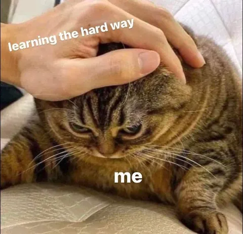 Learning the Hard Way Cat