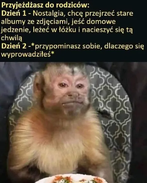Dzień drugi u rodziców