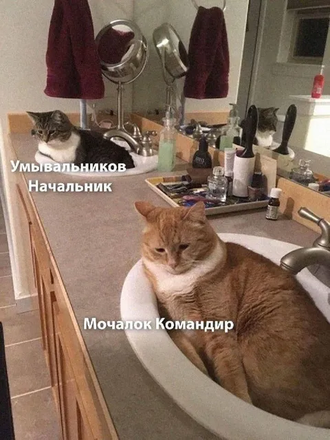 Начальник умывальников и командир мочалок