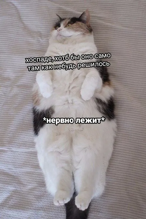 Нервно лежит и ждёт