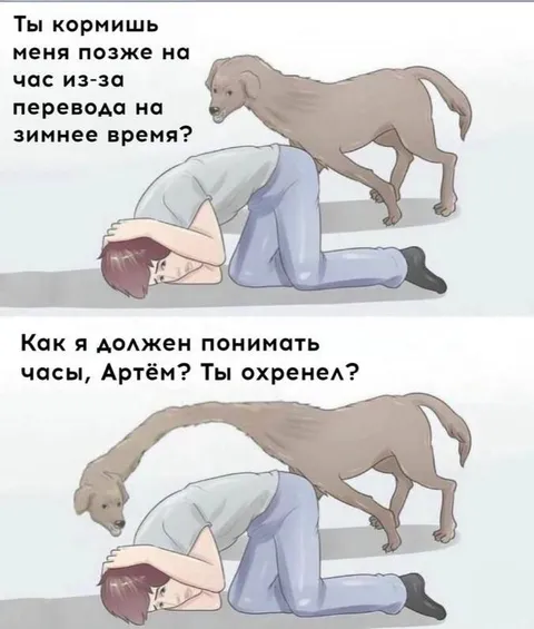 Перевод часов и голодный пёс