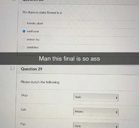 This Final Is So Ass