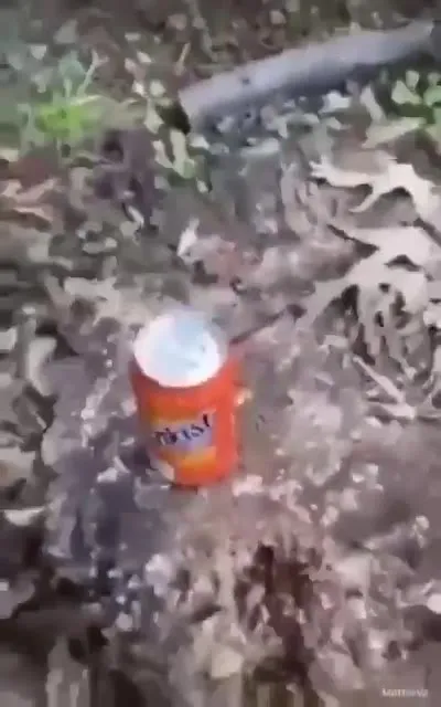 Attacking a Sunkist Can