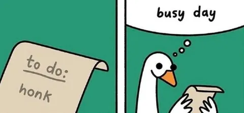 Busy Day Goose Honk