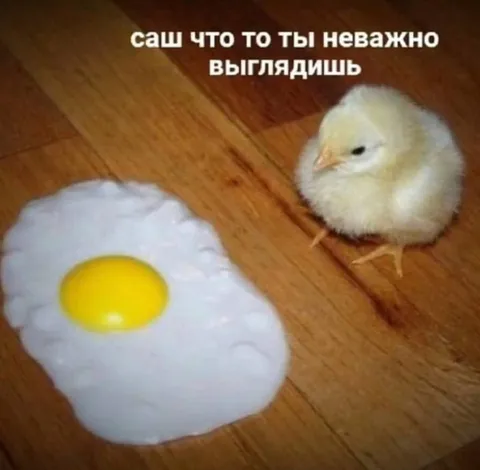 Цыплёнок плохо выглядит