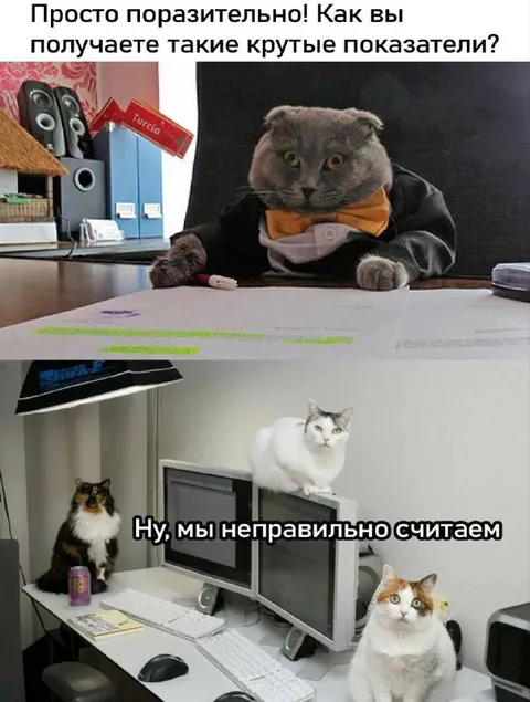 Коты неправильно считают показатели