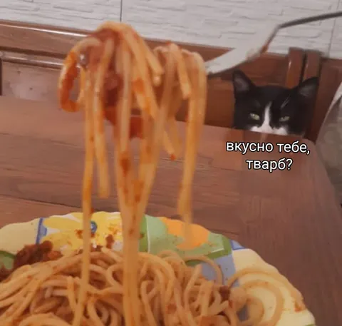 Кот смотрит на спагетти