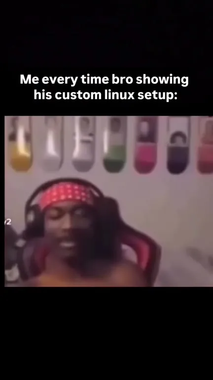 Custom Linux Setup Flex