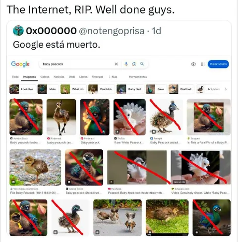 Google está muerto