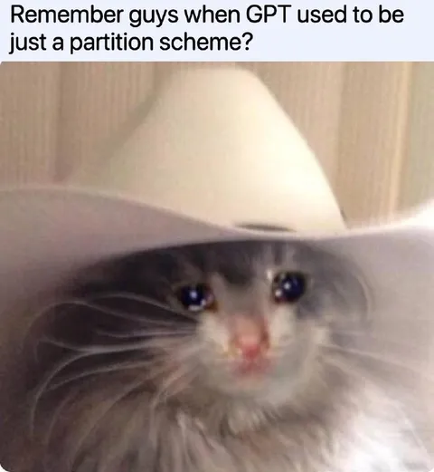 GPT Was Just a Partition Scheme