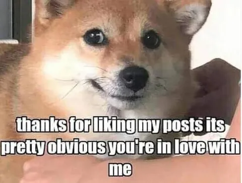 Thanks for Liking My Posts