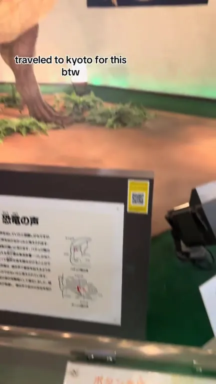 Traveled to Kyoto for This