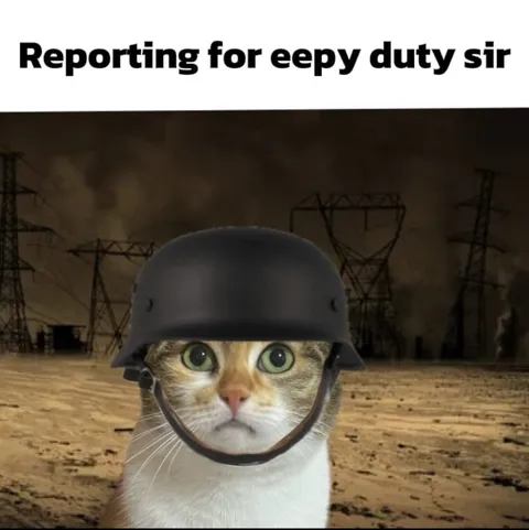 Eepy Duty Reporting Cat
