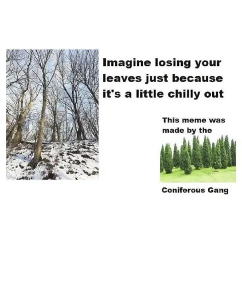 Losing Leaves When It Gets Chilly