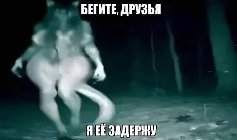 Бегите, друзья, я её задержу