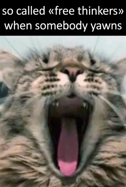 Free Thinker When Someone Yawns