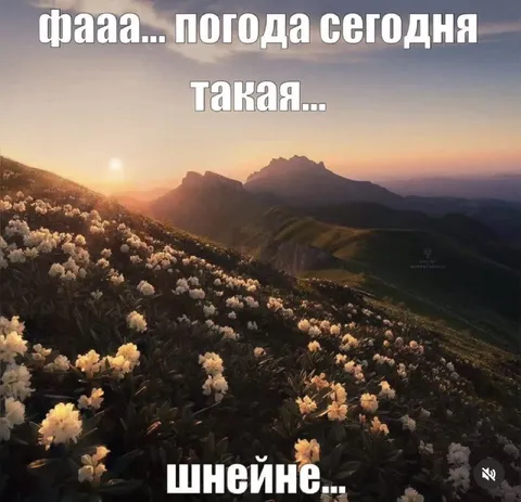 Погода сегодня шнейне