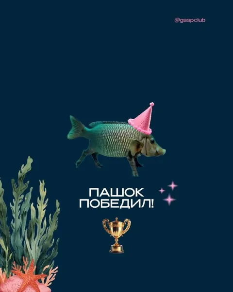 Пашок победил