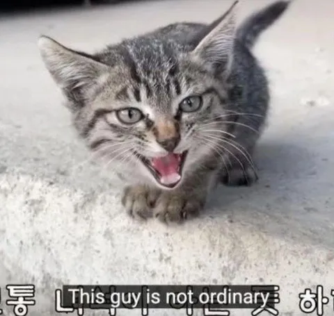 This Guy Is Not Ordinary