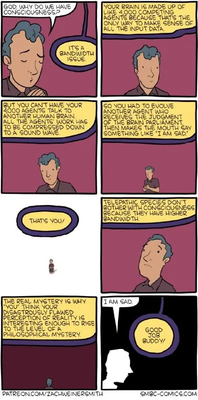 Consciousness Is a Bandwidth Issue
