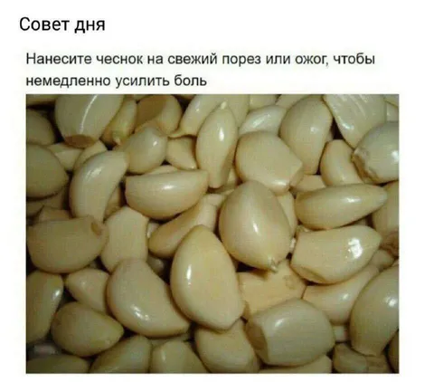 Совет дня: чеснок на порез