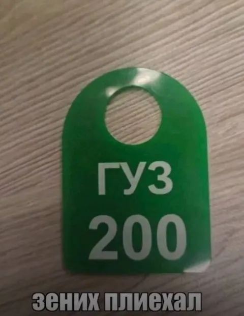 Зених плиехал, ГУЗ 200