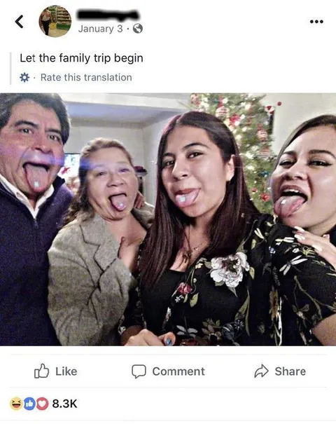 Let the Family Trip Begin
