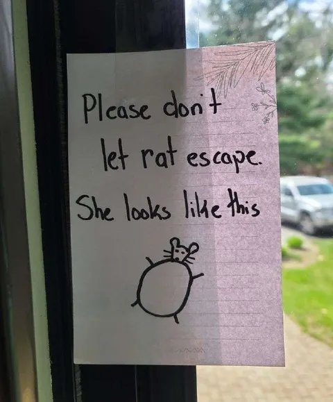 Please Don't Let Rat Escape