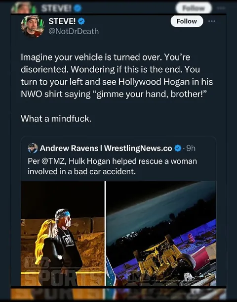 Hulk Hogan Rescue Mindfuck