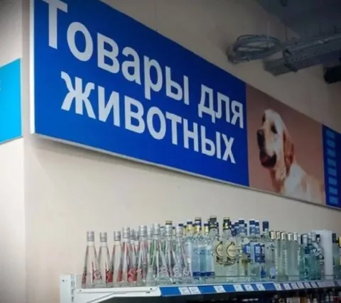 Товары для животных