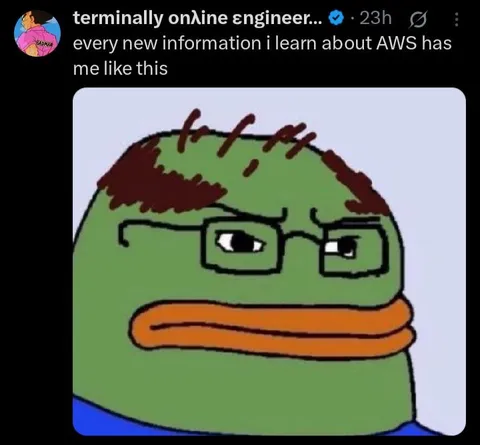 AWS Information Overload Pepe