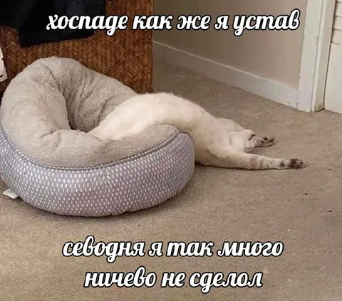 Устал и ничего не сделал