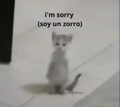 I'm Sorry Cat