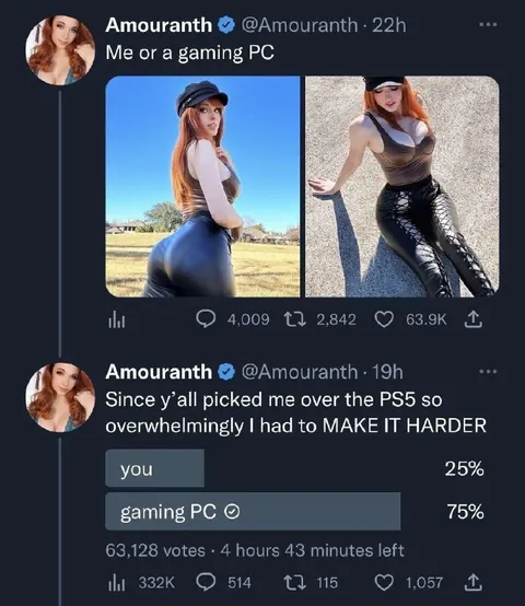 Me or a Gaming PC Poll
