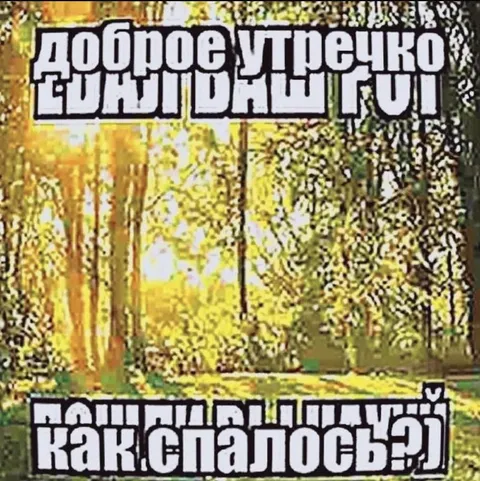 Доброе утро, бандиты