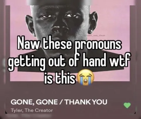 Pronouns Getting Out of Hand