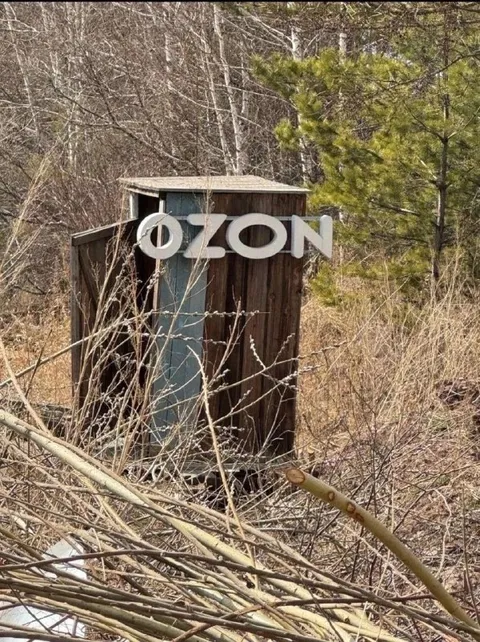 Пункт выдачи Ozon в лесу