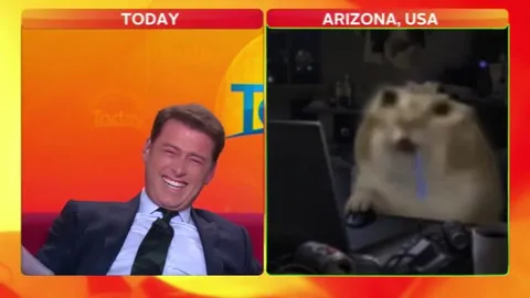 Laughing Man and Cat