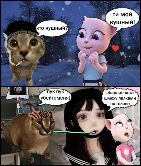 Кушный кот и карикатурная драка
