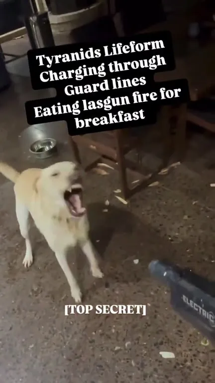 Tyranid Eats Lasgun Fire