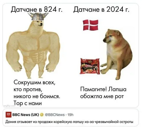 Датчане викинги и датчане 2024
