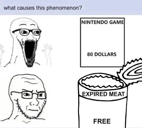 Nintendo Game Costs Eighty Dollars