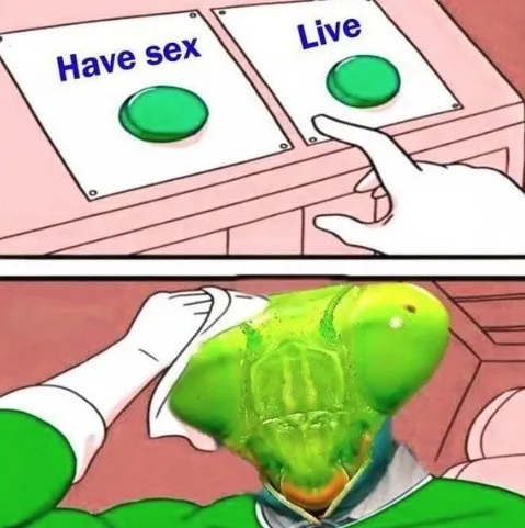 Have Sex or Live