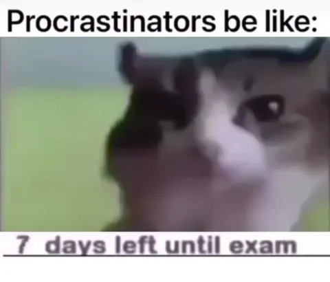 Procrastinator Before an Exam
