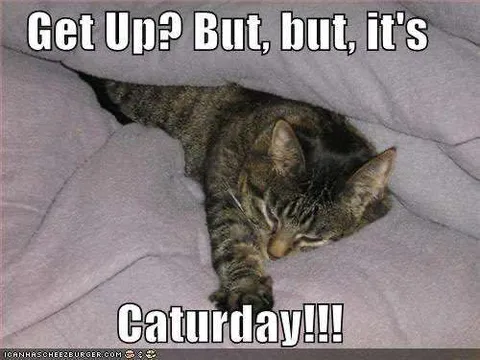 Caturday Cat Wants to Sleep