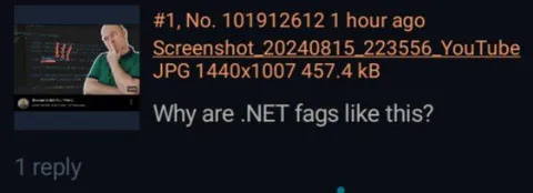 Why Are .NET Fags Like This?