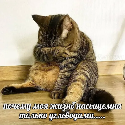 Жизнь насыщена углеводами